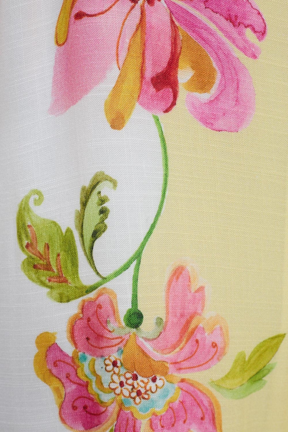 image_4c5de24b-eb1a-4555-b022-4ff3e4f77167