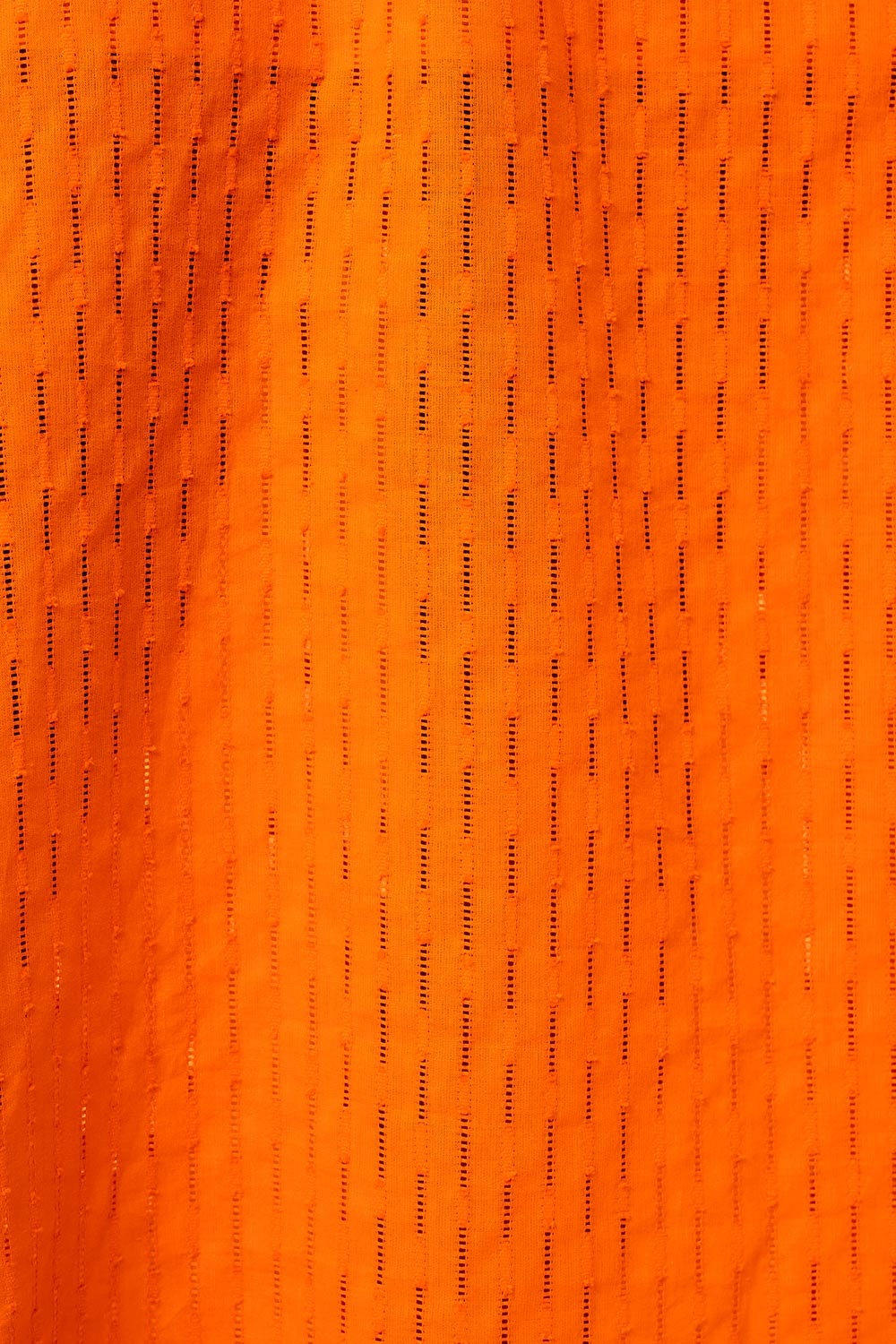 image_fe784923-5de8-45dc-87fb-ce3654ca46e2