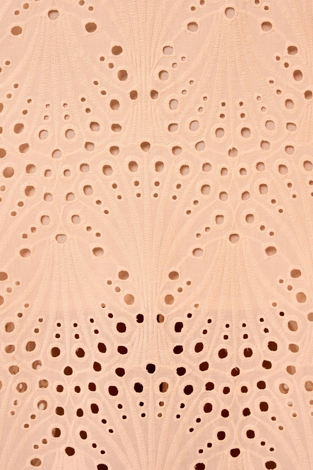 image_369a82e2-da40-46ca-86fb-0593f4074c8e